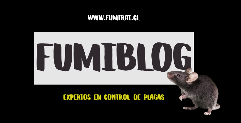 control plagas FUMIBLOG - Tu ayuda en control de plagas
